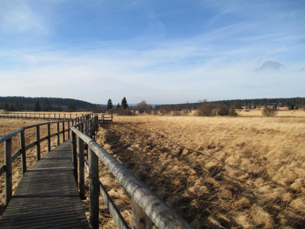 Wanderurlaub im belgischen Hohen Venn