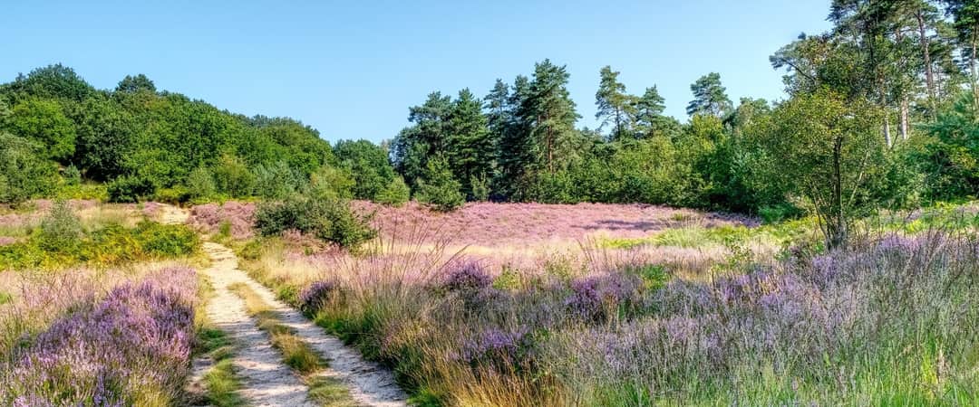 Glamping in der Kempen