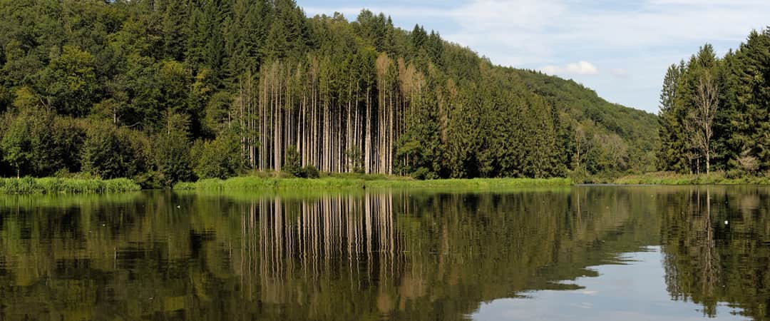 Gewundener Fluss im grünen Semoistal