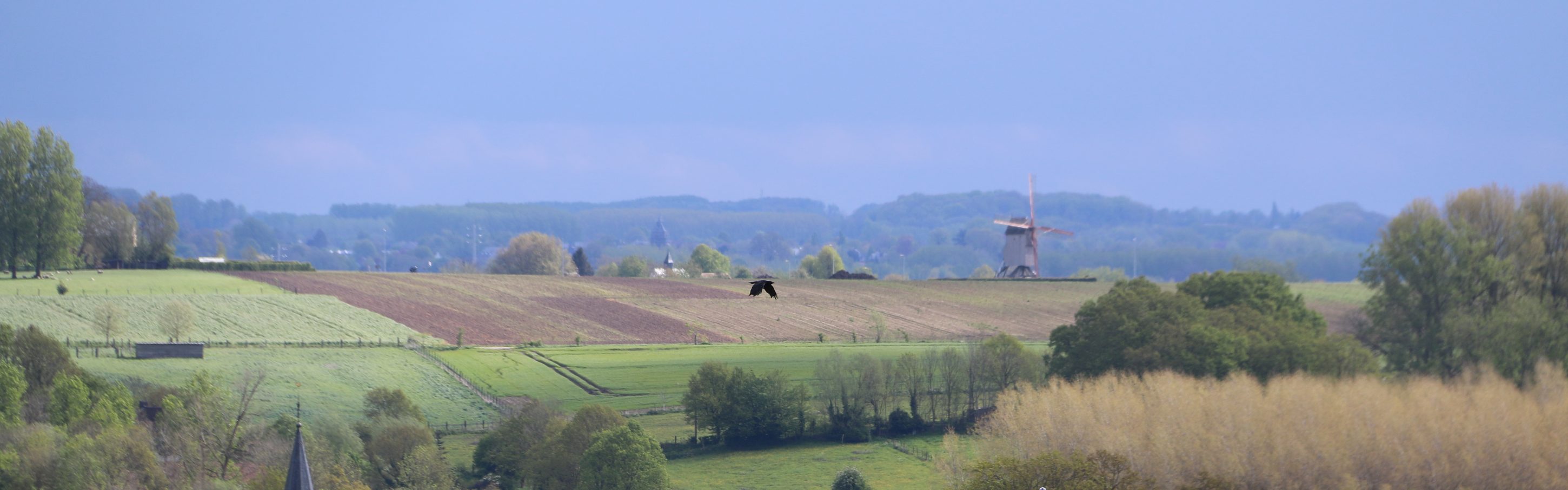Flämische Ardennen, België